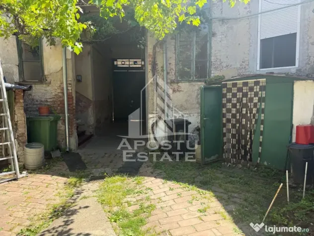 Două case de vânzare în aceeași curte zona Maria - Timisoara (Timis)