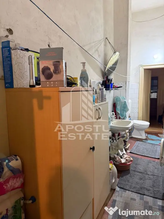Două case de vânzare în aceeași curte zona Maria - Timisoara (Timis)
