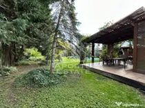 Vilă cu teren 920 mp, pentru familie sau investiție in Timisoara