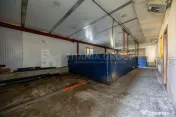 Casă 4 camere, garaj, foișor, grajd, 6000mp teren lângă padure 