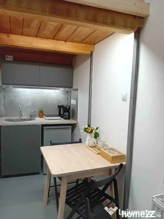 Garsonieră UltraCentrală | 21 mp | Renovată integral | Ce - Cluj-Napoca (Cluj)