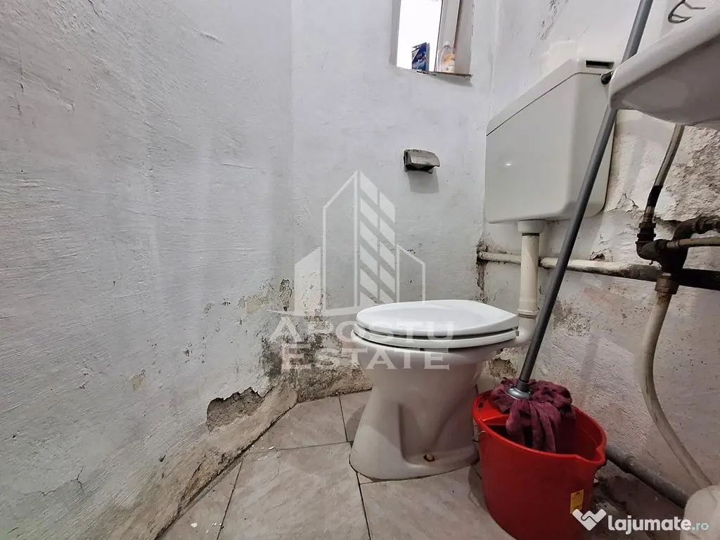 Spatiu comercial, demisol, zona Centrala - Arad (Arad)