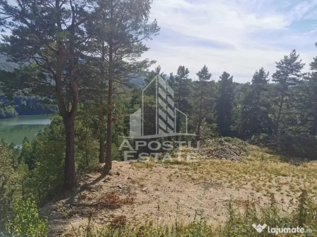 Teren intravilan, 2000mp, cu vedere panoramica spre lacul Valiug - Valiug (Caras-Severin)