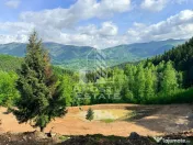 Oportunitate! Domeniu montan, cu lac propriu, oras Lupeni, Hunedoara 