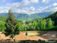 Oportunitate! Domeniu montan, cu lac propriu, oras Lupeni, Hunedoara 