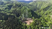 Oportunitate! Domeniu montan, cu lac propriu, oras Lupeni, Hunedoara 