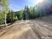 Oportunitate! Domeniu montan, cu lac propriu, oras Lupeni, Hunedoara 