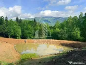 Oportunitate! Domeniu montan, cu lac propriu, oras Lupeni, Hunedoara 