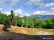 Oportunitate! Domeniu montan, cu lac propriu, oras Lupeni, Hunedoara 