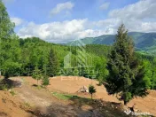 Oportunitate! Domeniu montan, cu lac propriu, oras Lupeni, Hunedoara 
