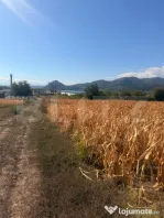Teren intravilan, 2.900 mp, zona Soimus