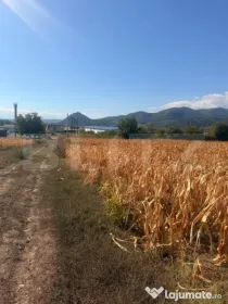 Teren intravilan, 2.900 mp, zona Soimus