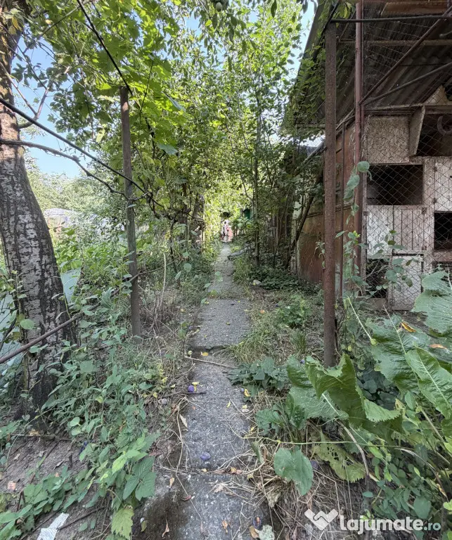Casa individuala 6 camere, 165 mp utili, 641 mp teren - Ghir - Ghiroda (Timis)