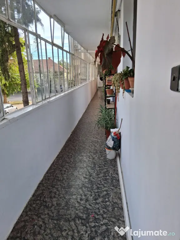 Apartament 2 camere, semidecomandat, 43 mp utili, etajul 1 - - Timisoara (Timis)