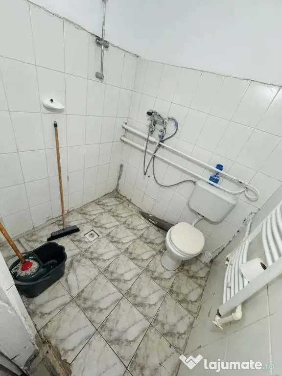 Garsonieră 20 mp, etajul 1 - zona Blascovici Timisoara - Timisoara (Timis)