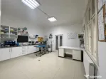 Casa individuala cu 2 camere mari - zona Bogdanestilor, Timi