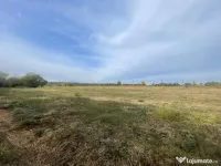 Teren intravilan de vanzare in Balta Verde, 6900 mp, la doar