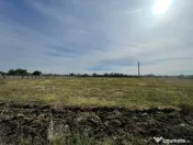 Teren intravilan de vanzare in Balta Verde, 6900 mp, la doar 