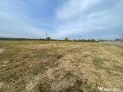 Teren intravilan de vanzare in Balta Verde, 6900 mp, la doar 