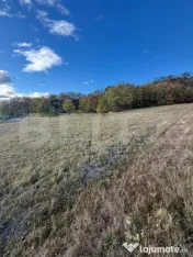 Teren EXTRAVILAN POZITIE DEOSEBITA 