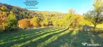 Proprietate cu 6329 mp teren intravilan, Casa P+1 si anexe,Al.cel Bun