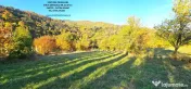 Proprietate cu 6329 mp teren intravilan, Casa P+1 si anexe,Al.cel Bun