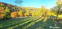 Proprietate cu 6329 mp teren intravilan, Casa P+1 si anexe,Al.cel Bun