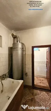 Proprietate cu 6329 mp teren intravilan, Casa P+1 si anexe,Al.cel Bun
