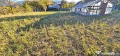 Proprietate cu 6329 mp teren intravilan, Casa P+1 si anexe,Al.cel Bun