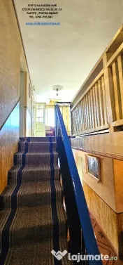 Proprietate cu 6329 mp teren intravilan, Casa P+1 si anexe,Al.cel Bun