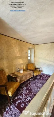Proprietate cu 6329 mp teren intravilan, Casa P+1 si anexe,Al.cel Bun