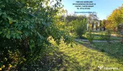 Proprietate cu 6329 mp teren intravilan, Casa P+1 si anexe,Al.cel Bun