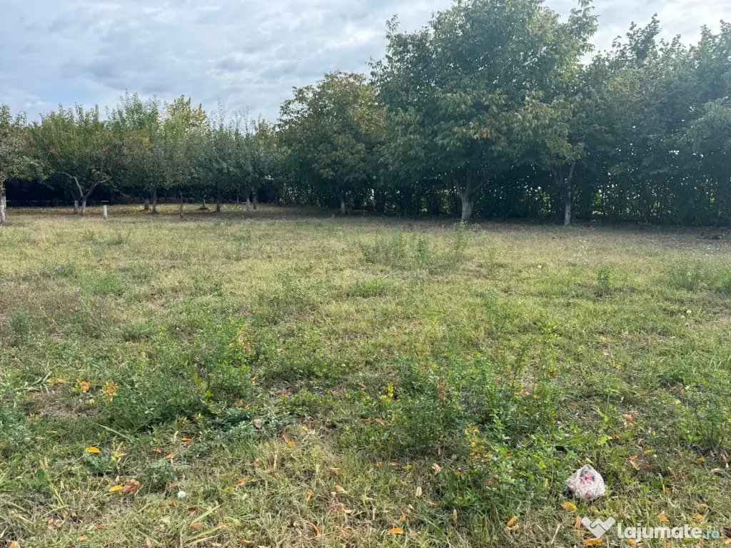 Teren construibil Frumusani - Popesti Leordeni (Bucuresti-Ilfov)