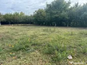 Teren construibil Frumusani