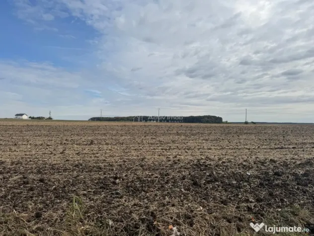 Teren construibil Frumusani - Popesti Leordeni (Bucuresti-Ilfov)