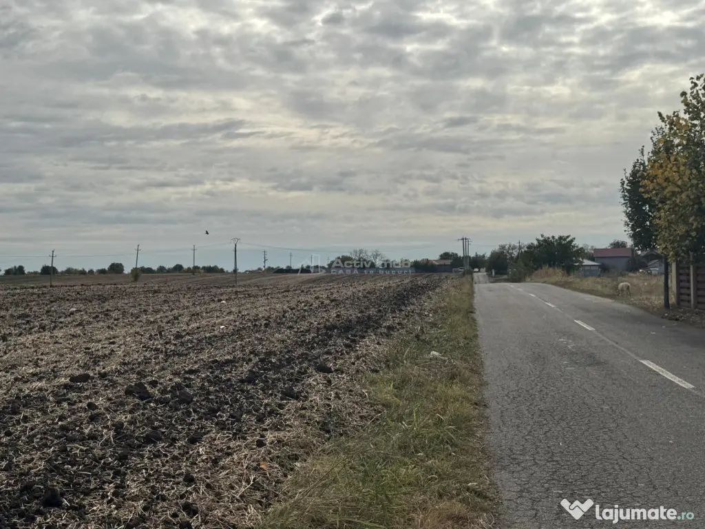 Teren construibil Frumusani - Popesti Leordeni (Bucuresti-Ilfov)
