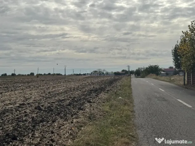 Teren construibil Frumusani - Popesti Leordeni (Bucuresti-Ilfov)