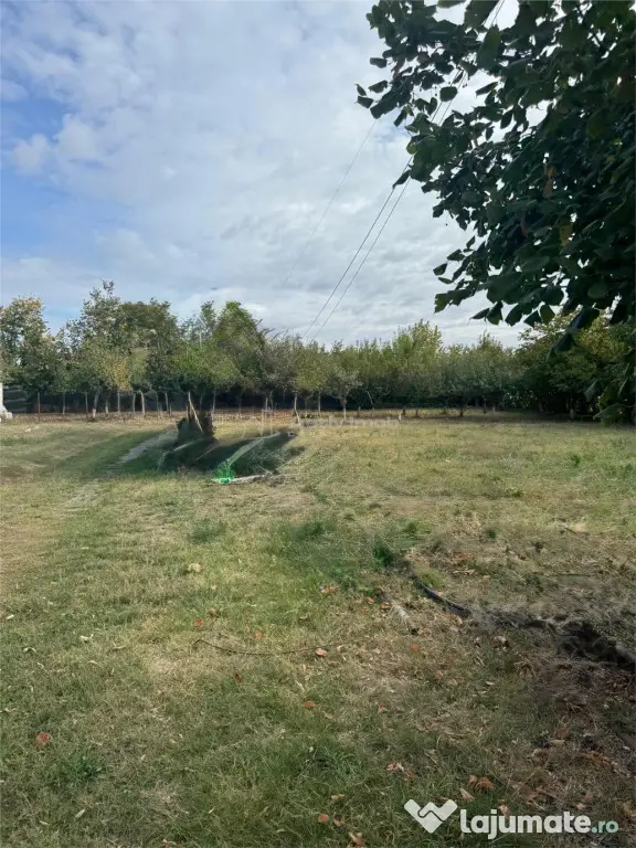 Teren construibil Frumusani - Popesti Leordeni (Bucuresti-Ilfov)