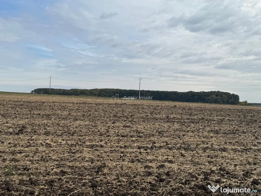 Teren construibil Frumusani - Popesti Leordeni (Bucuresti-Ilfov)