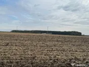 Teren construibil Frumusani
