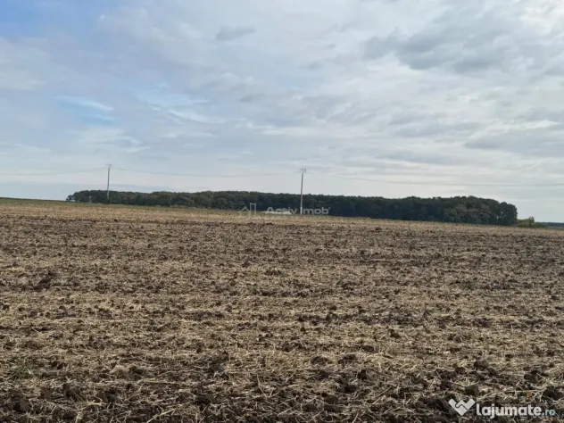 Teren construibil Frumusani - Popesti Leordeni (Bucuresti-Ilfov)