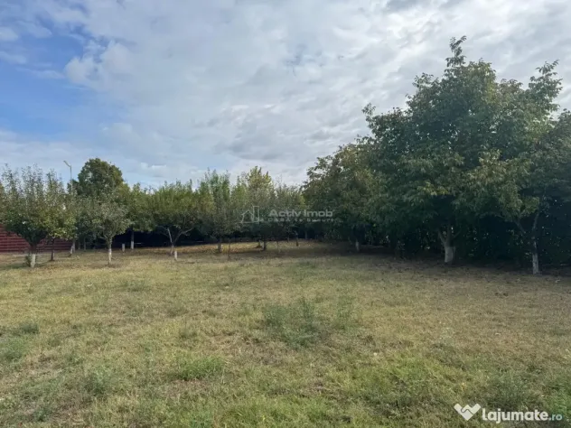 Teren construibil Frumusani - Popesti Leordeni (Bucuresti-Ilfov)