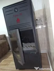 Termoșemineu pe lemne Aqua Plus 30 kw
