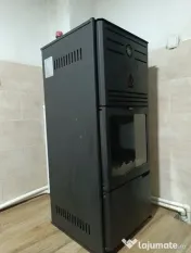Termoșemineu pe lemne Aqua Plus 30 kw