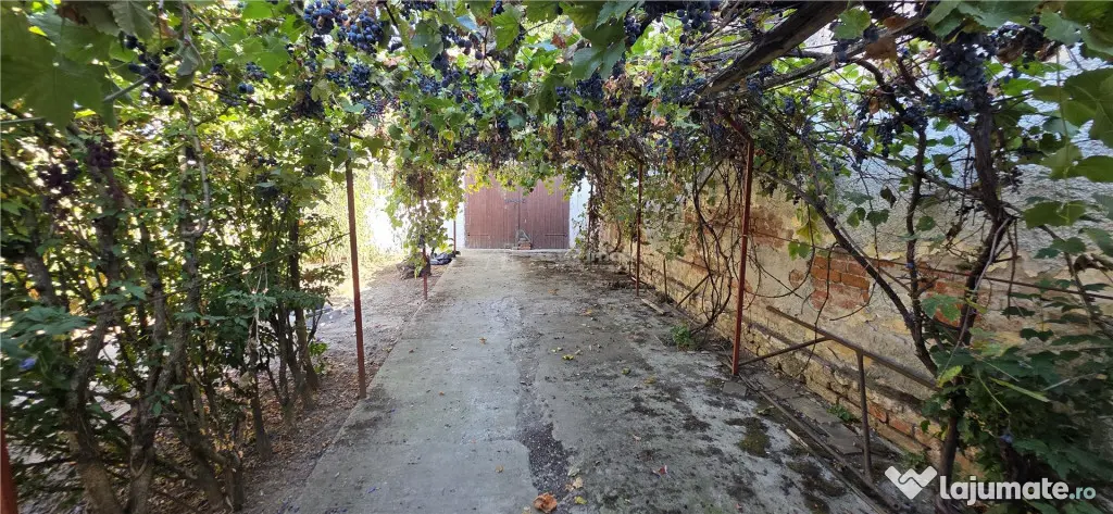 Deta | Casa individuala | Drumul banlocului , 464 mp, Gar - Deta (Timis)