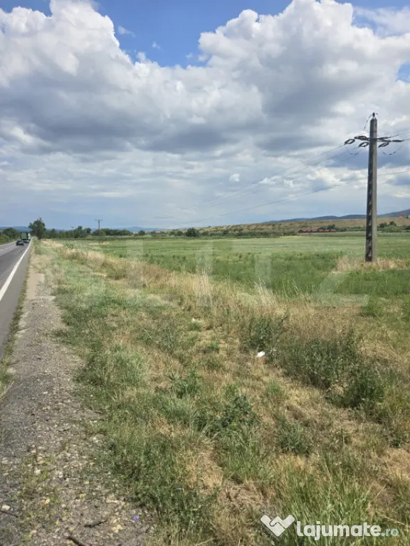Teren 49.975 mp la E60, Urvind | Ideal Parc Fotovoltaic - Urvind (Bihor)