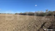 Teren intravilan, 421 mp. Lazuri 