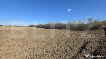 Teren intravilan, 421 mp, zona Lazuri