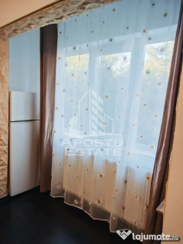 Apartament 1 camera de inchiriat ,Zona Lipovei - Timisoara (Timis)
