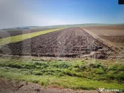 Teren 15.500 mp la DN, Brăiești | Investiție imobiliară 
